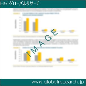 グローバルリサーチ調査レポートのイメージ